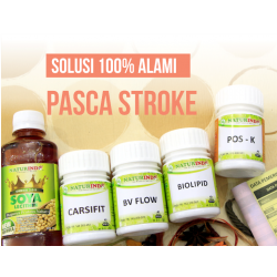 Paket Naturindo Pengobatan...